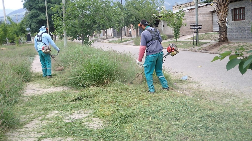 El Programa Manzanas Saludables lleva adelante trabajos de prevención en la zona este de la capital