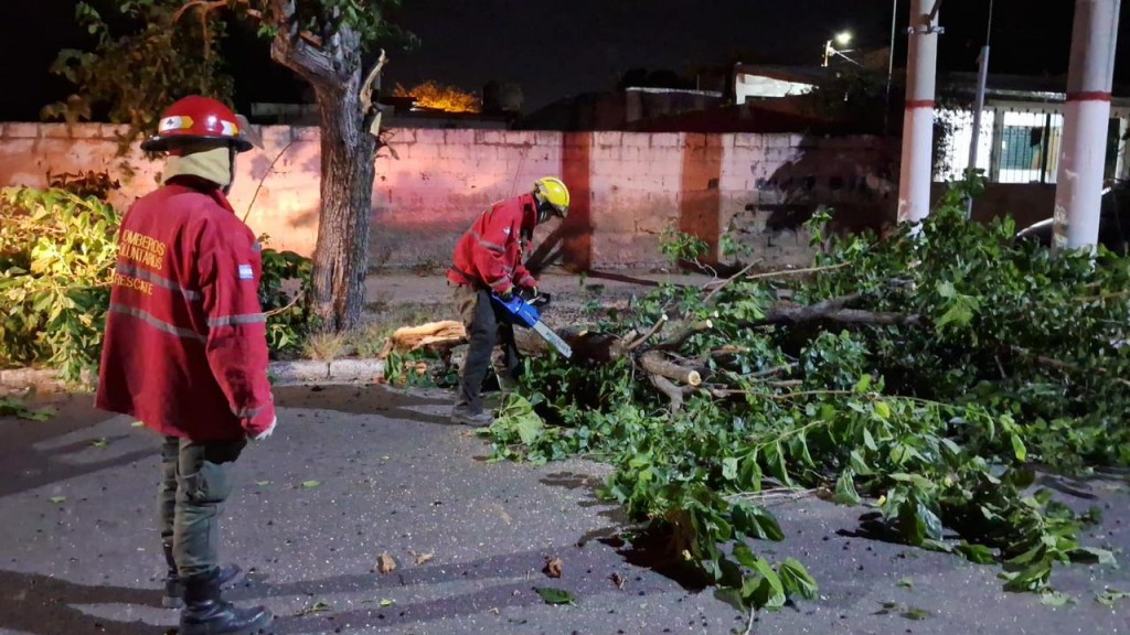 Graves daños por el viento: el COE trabaja para restablecer servicios y asistir a la población