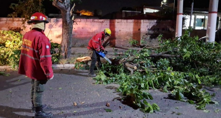 Graves daños por el viento: el COE trabaja para restablecer servicios y asistir a la población