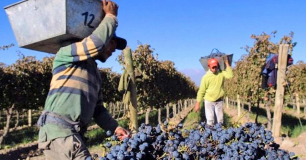 Cosecha 2026: La Rioja se prepara para recibir unos 10 mil trabajadores rurales