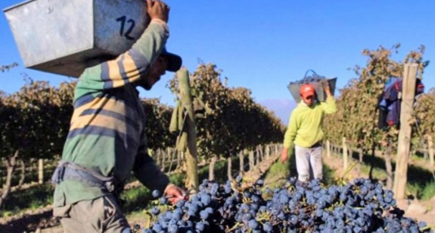 Cosecha 2026: La Rioja se prepara para recibir unos 10 mil trabajadores rurales